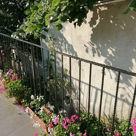 Къща За Гости Нова Варна Gasthof *